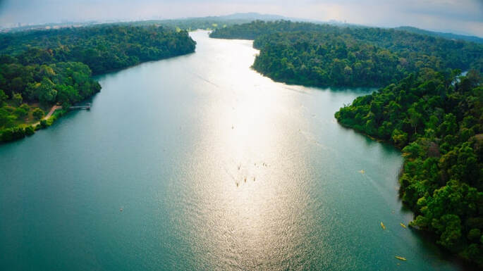 MacRitchie reservoir, Singapore's first and oldest reservoir is part of Singapore's first national tap