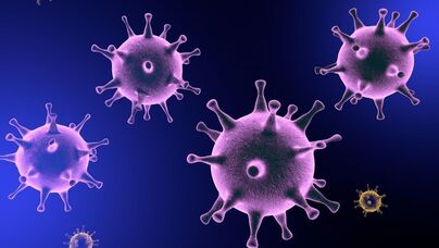 Virus found in contaminated and unsafe surface water